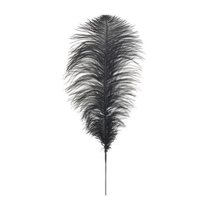 Black Feather (120 cm)