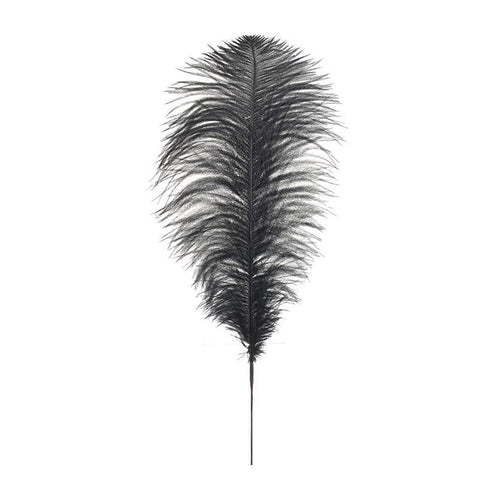 Black Feather (120 cm)