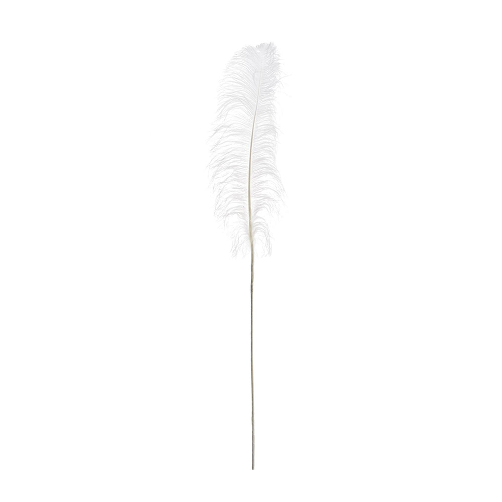 White Decorative Feather