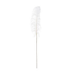 White Decorative Feather