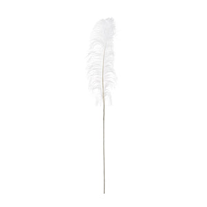 White Decorative Feather