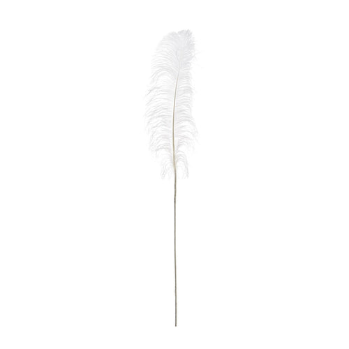 White Decorative Feather