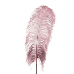 Pink Feather (95 cm)