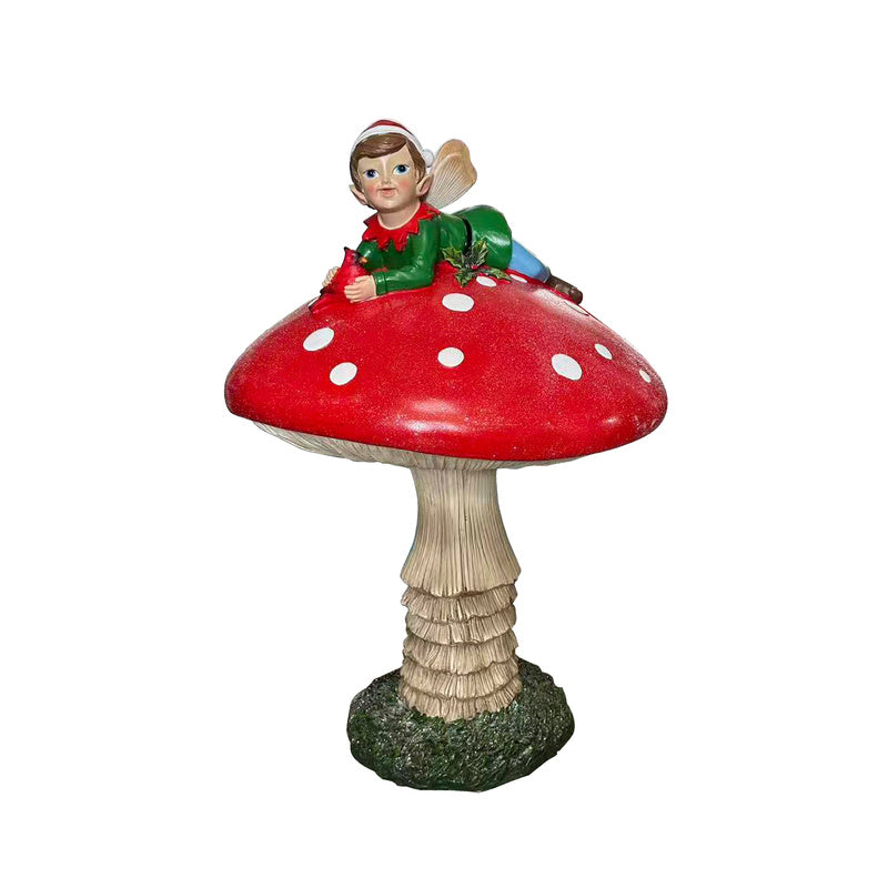 Mushroom magnesium