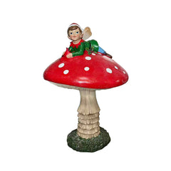 Mushroom magnesium