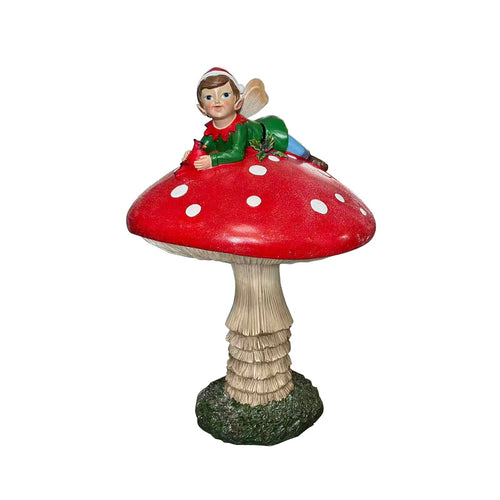 Mushroom magnesium