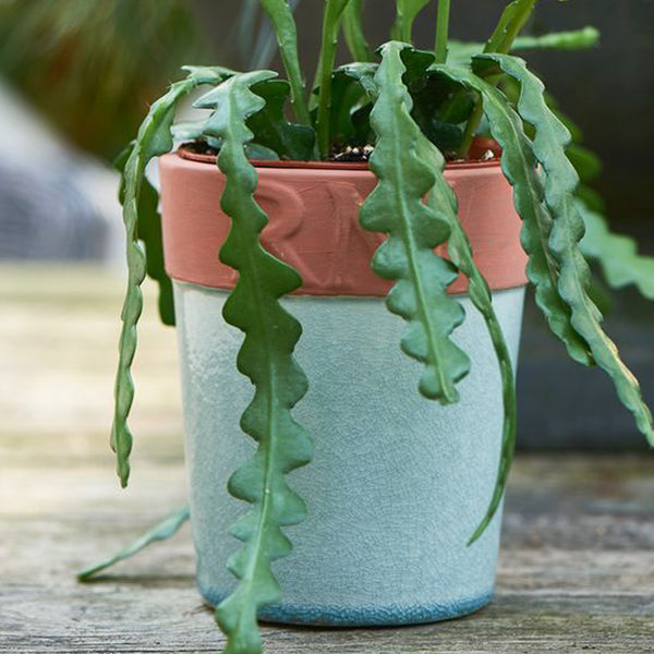 RM Classic Dark Green Pot