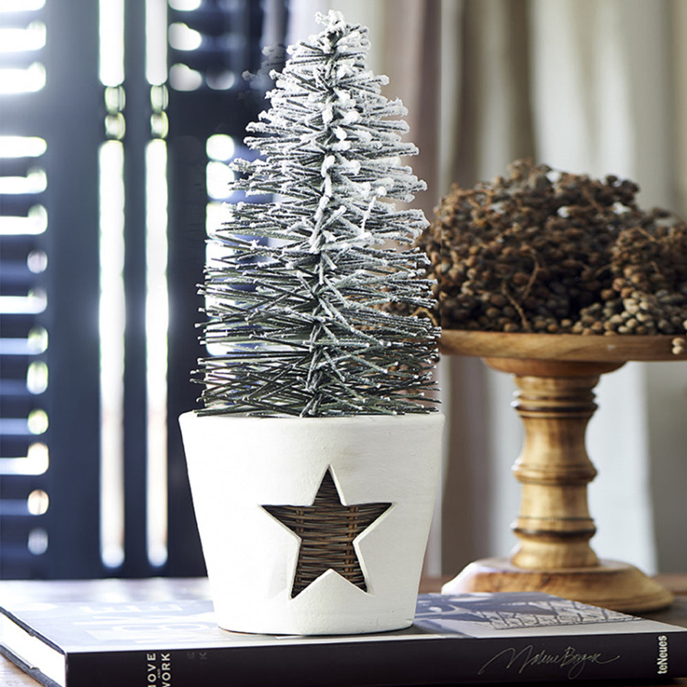 RM Winter star pot S