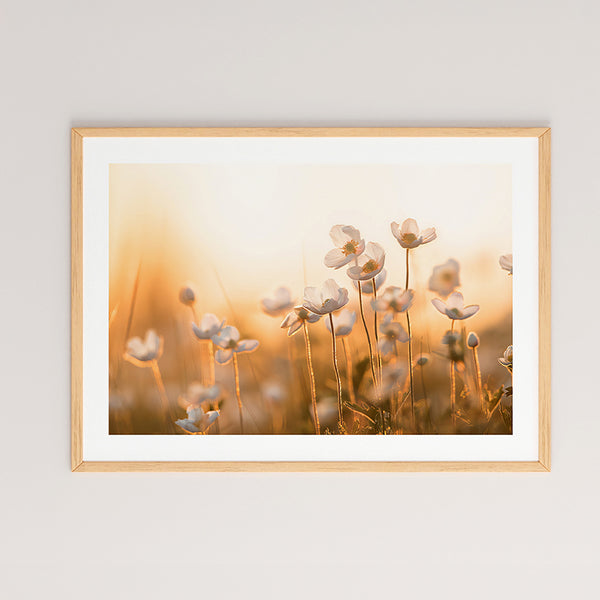 Multicolor Floraza Wall Art (48 cm)