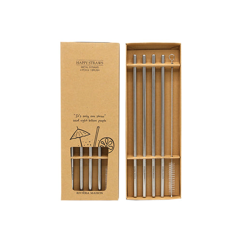 RM Metal Straws 4pcs