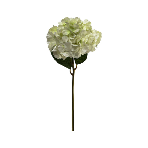 Cream Hydrangea (60 cm)