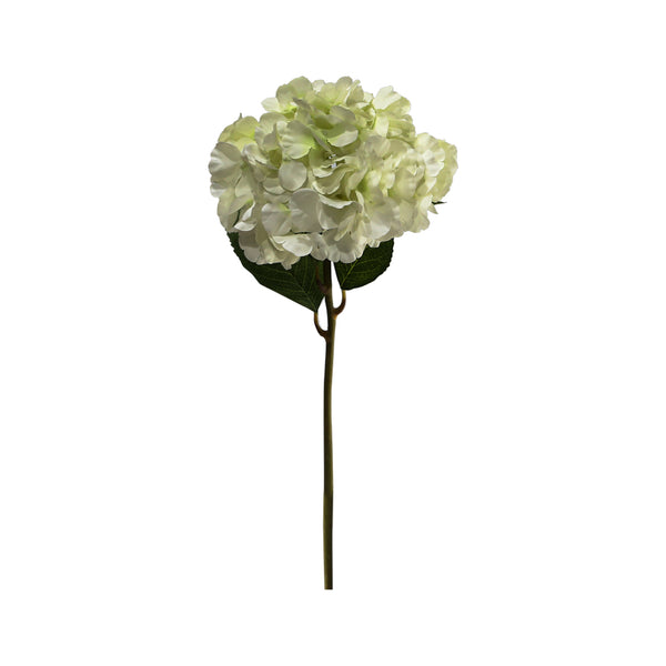 Cream Hydrangea (60 cm)