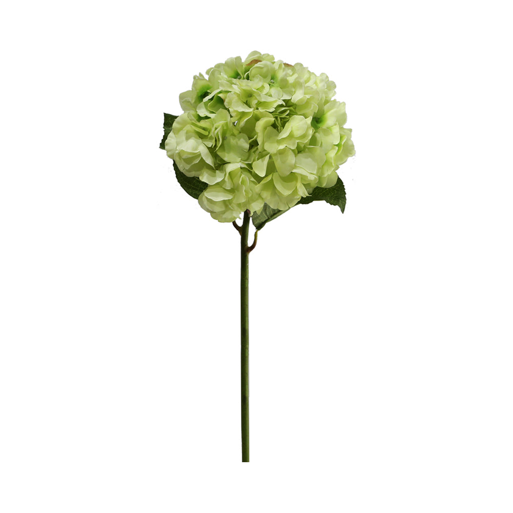 Green Hydrangea (60 cm)