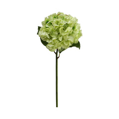 Green Hydrangea (60 cm)