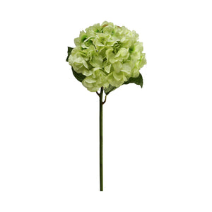 Green Hydrangea (60 cm)