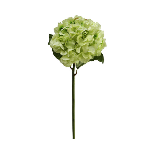 Green Hydrangea (60 cm)