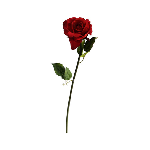 Valentine Velvet Rose