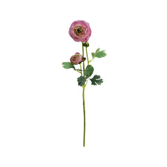 Lavender Ranunculus With Bud (70 cm)