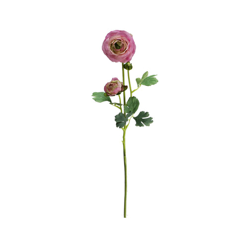 Lavender Ranunculus With Bud (70 cm)