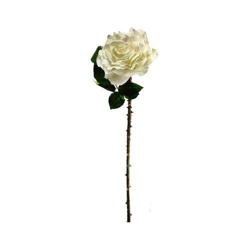 Cream Rose (40 cm)