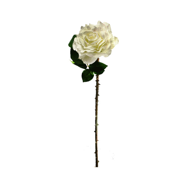 Cream Rose (40 cm)