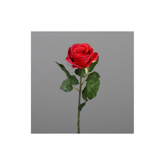 Rose, 48 cm, red, 24/240