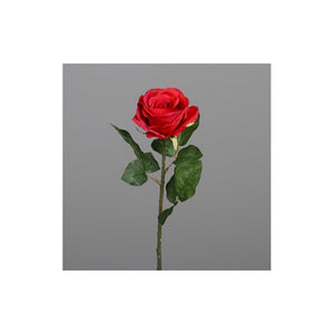 Rose, 48 cm, red, 24/240