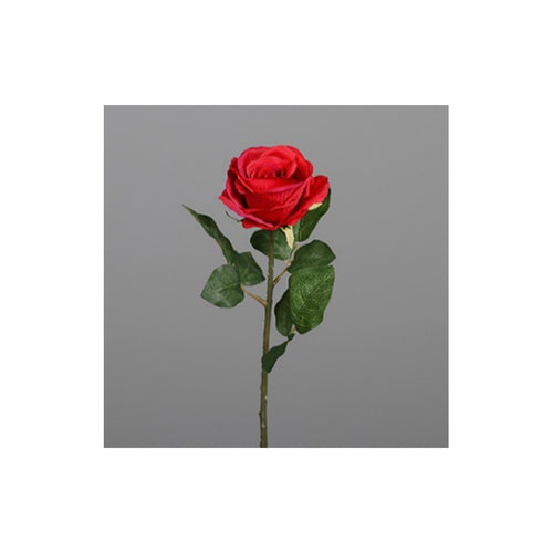 Rose, 48 cm, red, 24/240