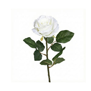 White Rose Stem (48 cm)