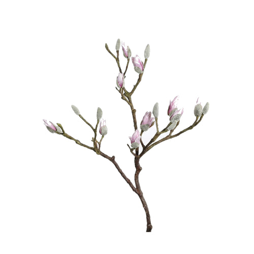 Rosee Magnolia Branch (93 cm)
