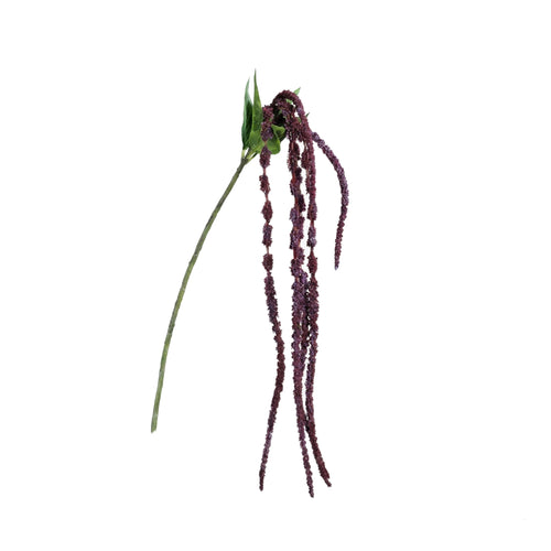 Burgundy Amaranthus Hanging Spray (122 cm)