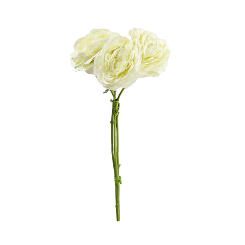 Cream Ranunculus (44 cm)