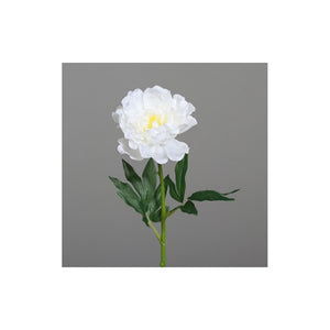 Peony, 62 cm, cream, 36/288