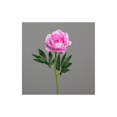 Peony, 62 cm, lavender, 36/288