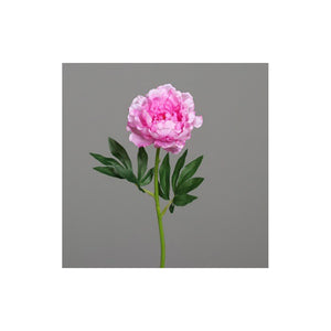 Peony, 62 cm, lavender, 36/288