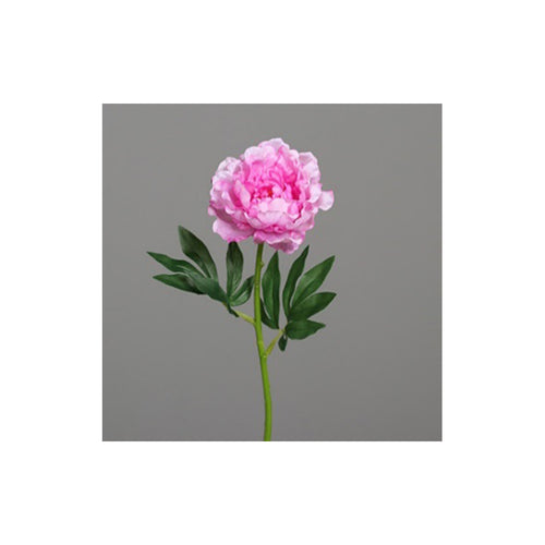 Peony, 62 cm, lavender, 36/288