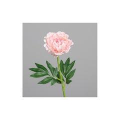 Peony, 62 cm, rosee, 36/288
