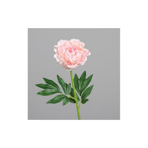 Peony, 62 cm, rosee, 36/288