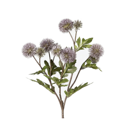 Mauve Ball Thistle (56 cm)