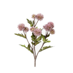 Dusty Pink Ball Thistle (54 cm)