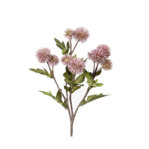 Dusty Pink Ball Thistle (54 cm)