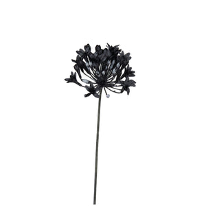Black Agapanthus Stem (72 cm)