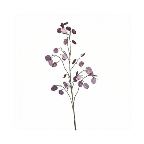 Aubergine Lunaria Twig (125 cm)