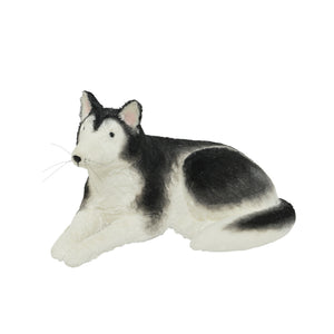 Laying Cotton Husky (40cm)