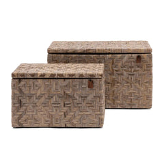 RM Port Barton trunk L58cm