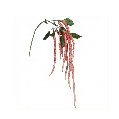 Fuchsia Amaranthus Hanger (135 cm)