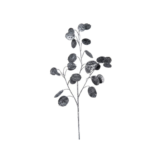 Black Lunaria Spray (66 cm)