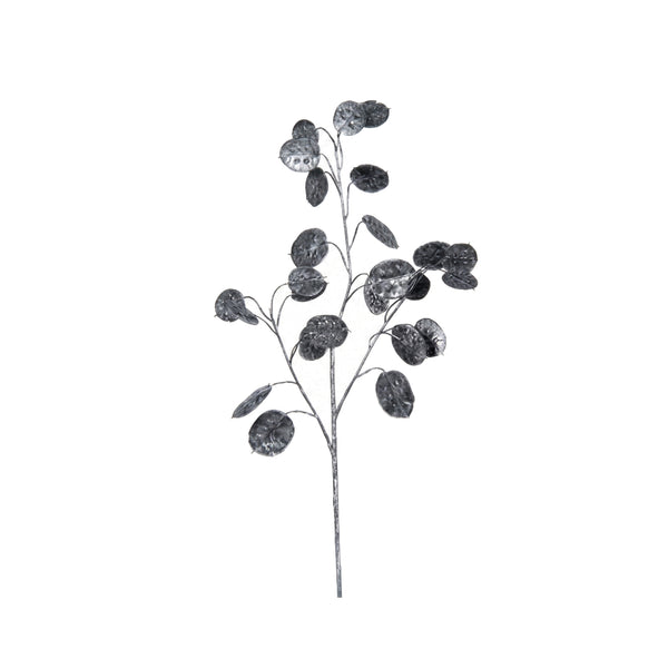 Black Lunaria Spray (66 cm)