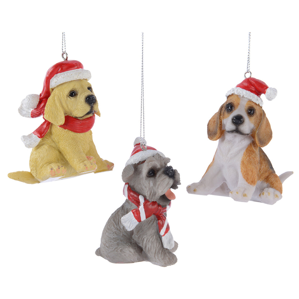 Poly Dog With Hanger