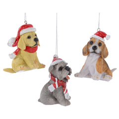 Poly Dog With Hanger